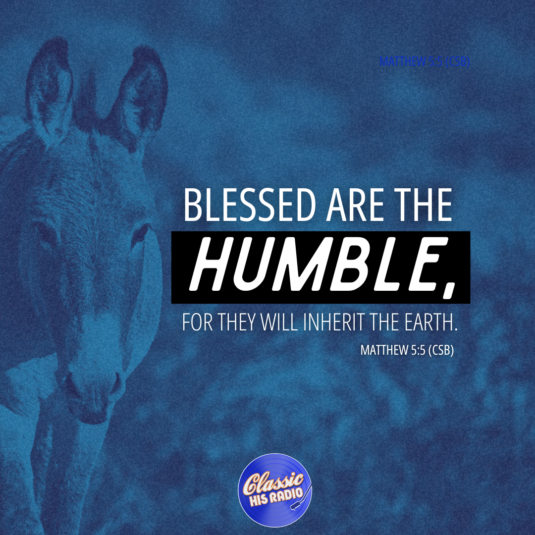 Matthew 5:5 - Verse of the Day
