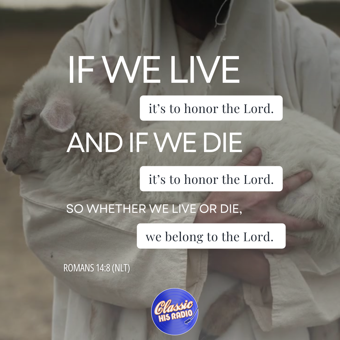 Romans 14:8 - Verse of the Day