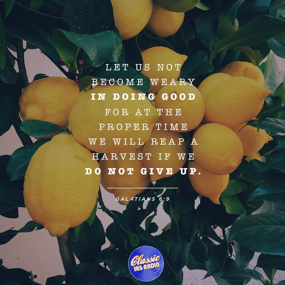 Galatians 6:9 - Verse of the Day