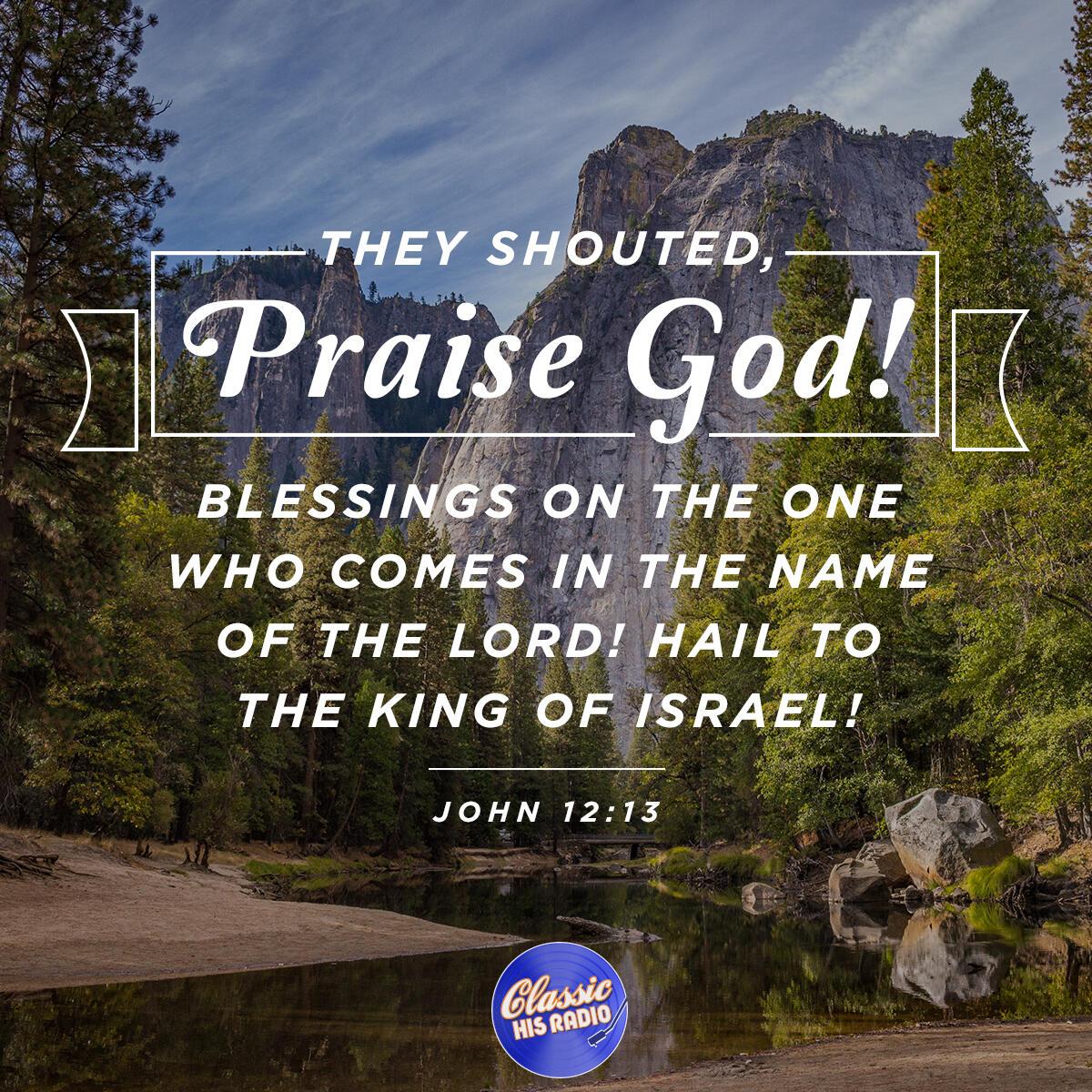 John 12:13 - Verse of the Day