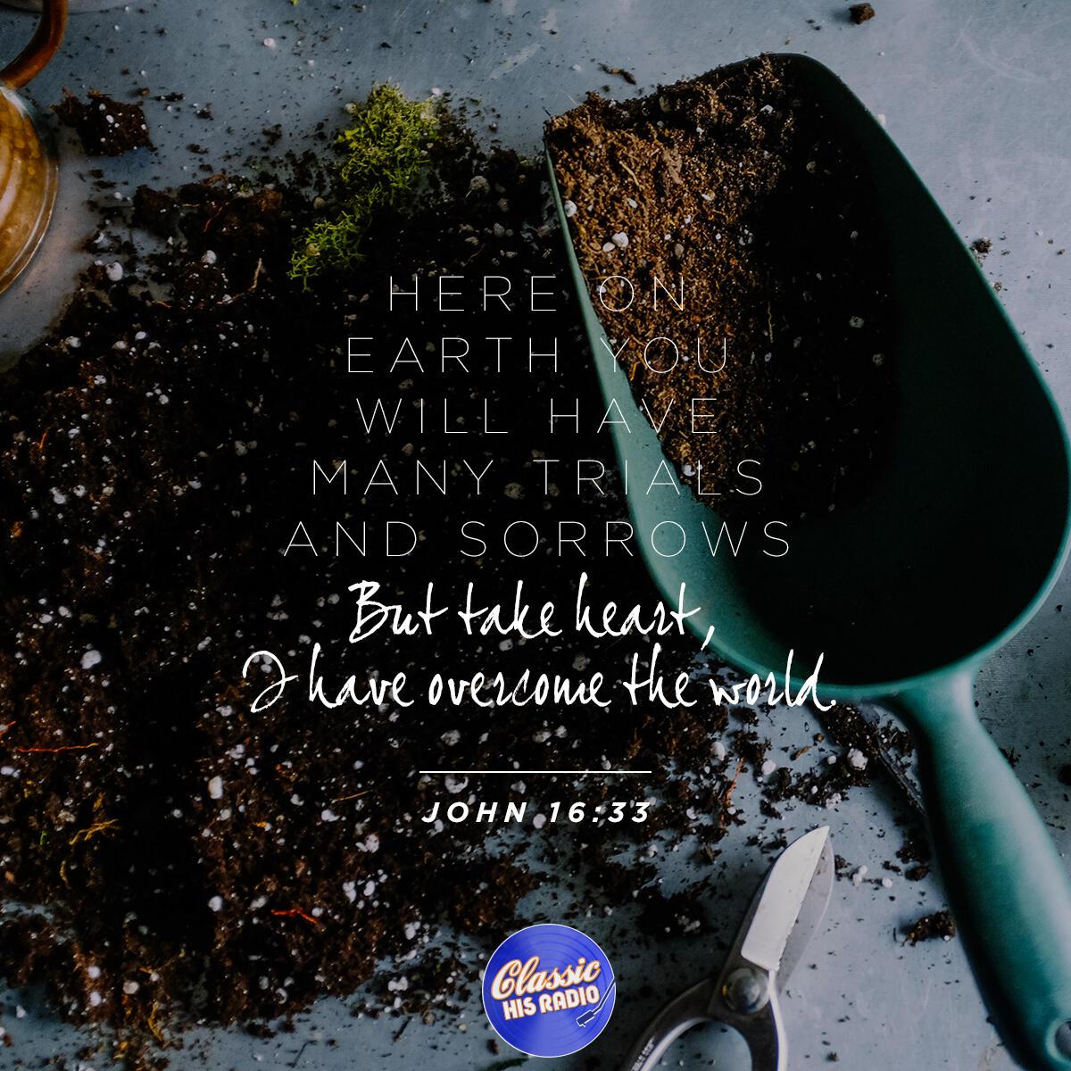 John 16:33 - Verse of the Day