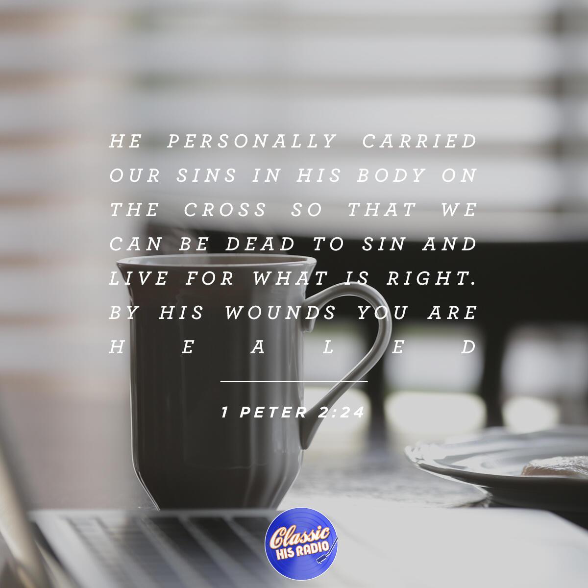 1 Peter 2:24 - Verse of the Day