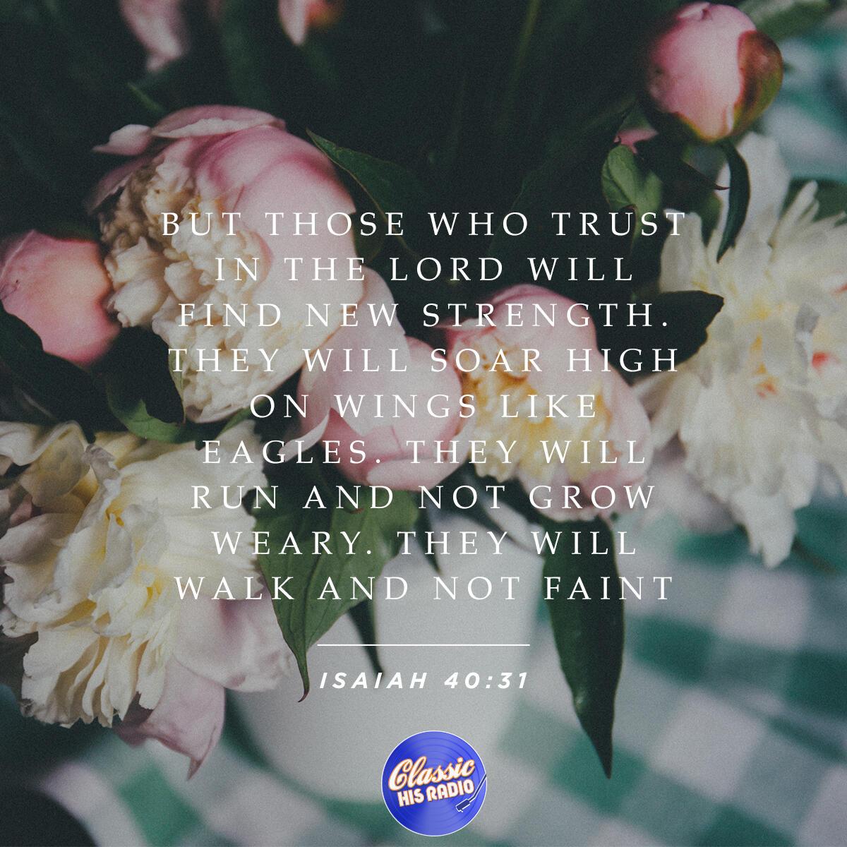 Isaiah 40:31 - Verse of the Day