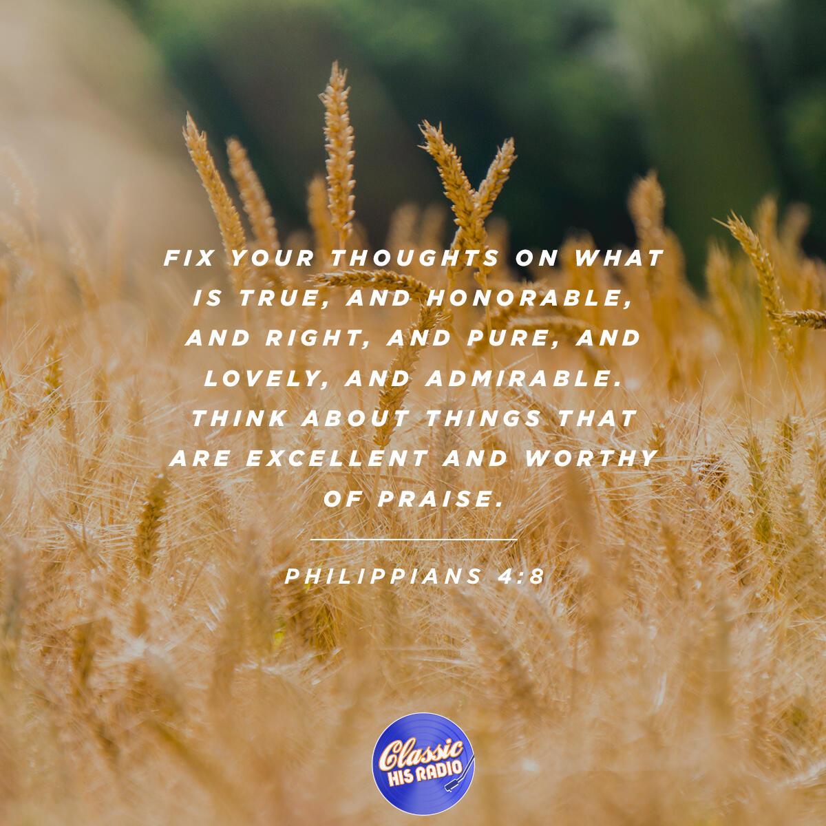 Philippians 4:8 - Verse of the Day