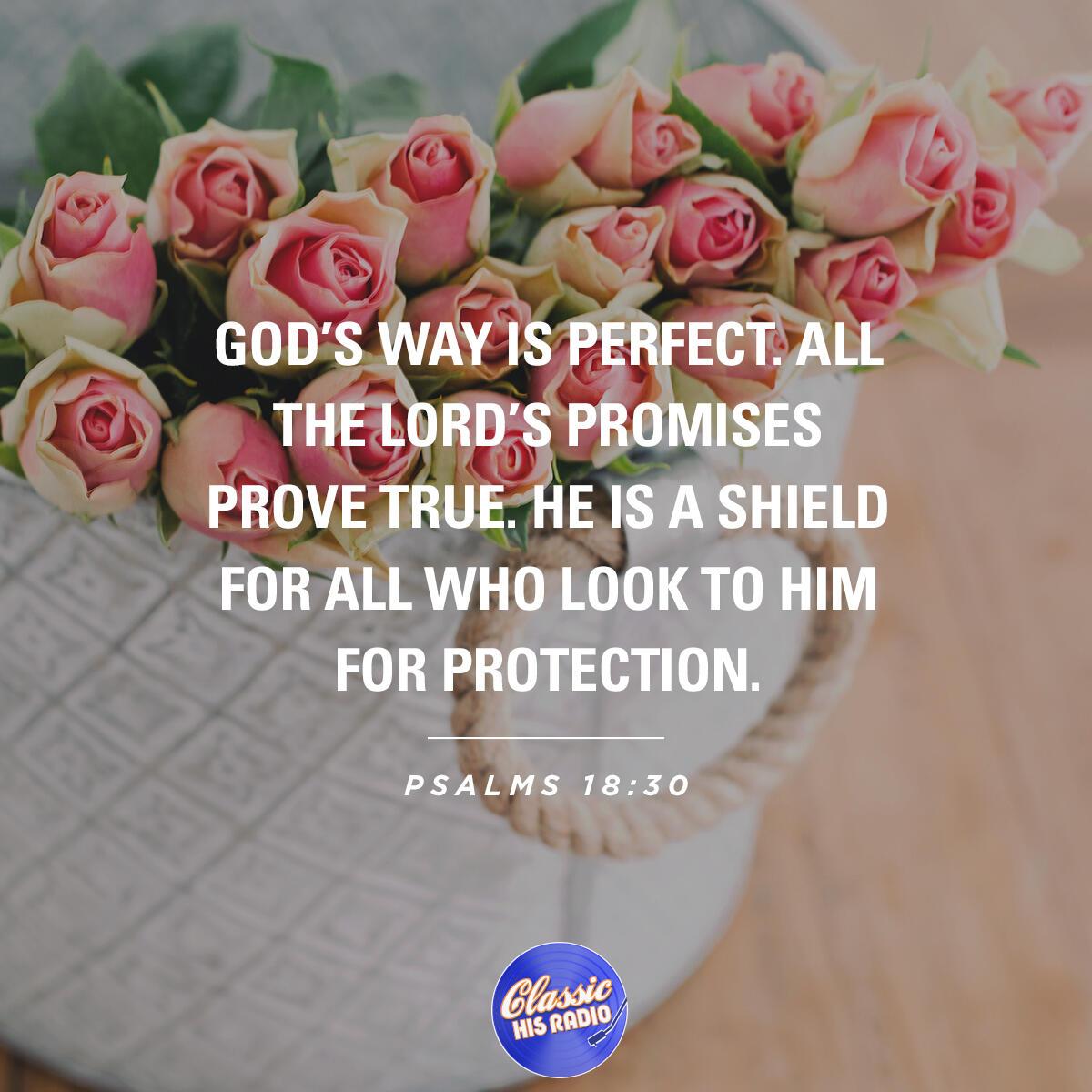 Psalms 18:30 - Verse of the Day