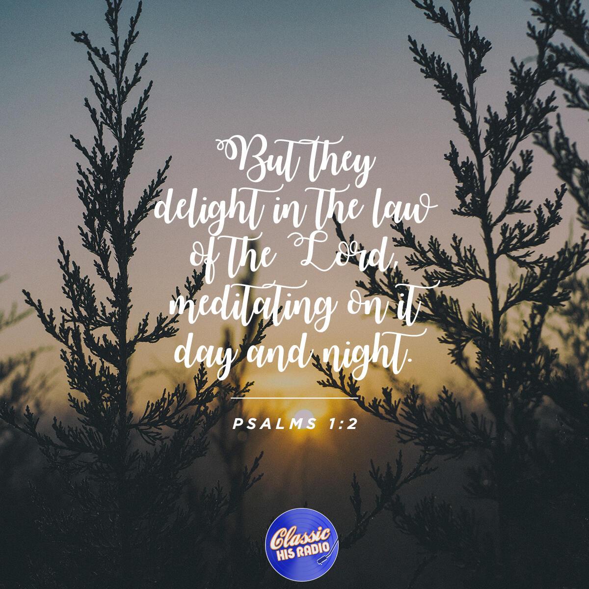 Psalms 1:2 - Verse of the Day