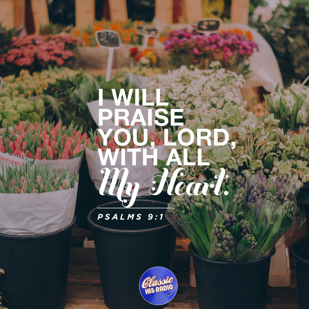 Psalms 9:1 - Verse of the Day