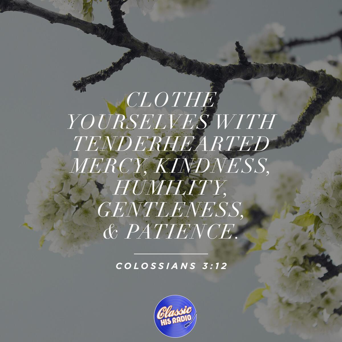 Colossians 3:12 - Verse of the Day