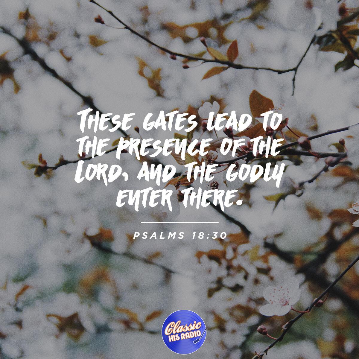 Psalm 118:20 - Verse of the Day