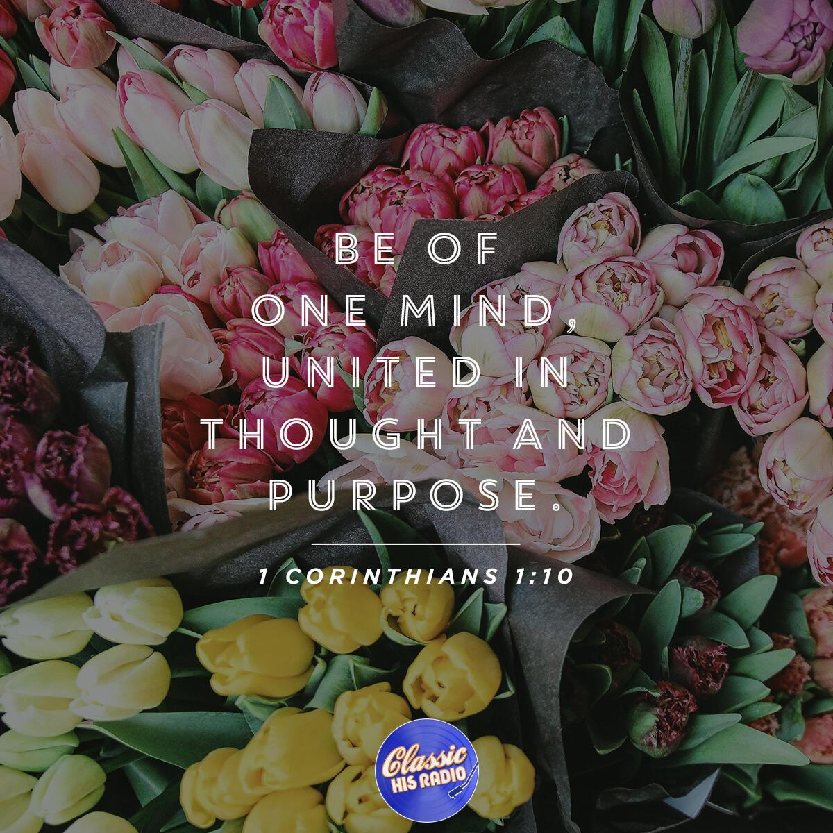 1 Corinthians 1:10 - Verse of the Day