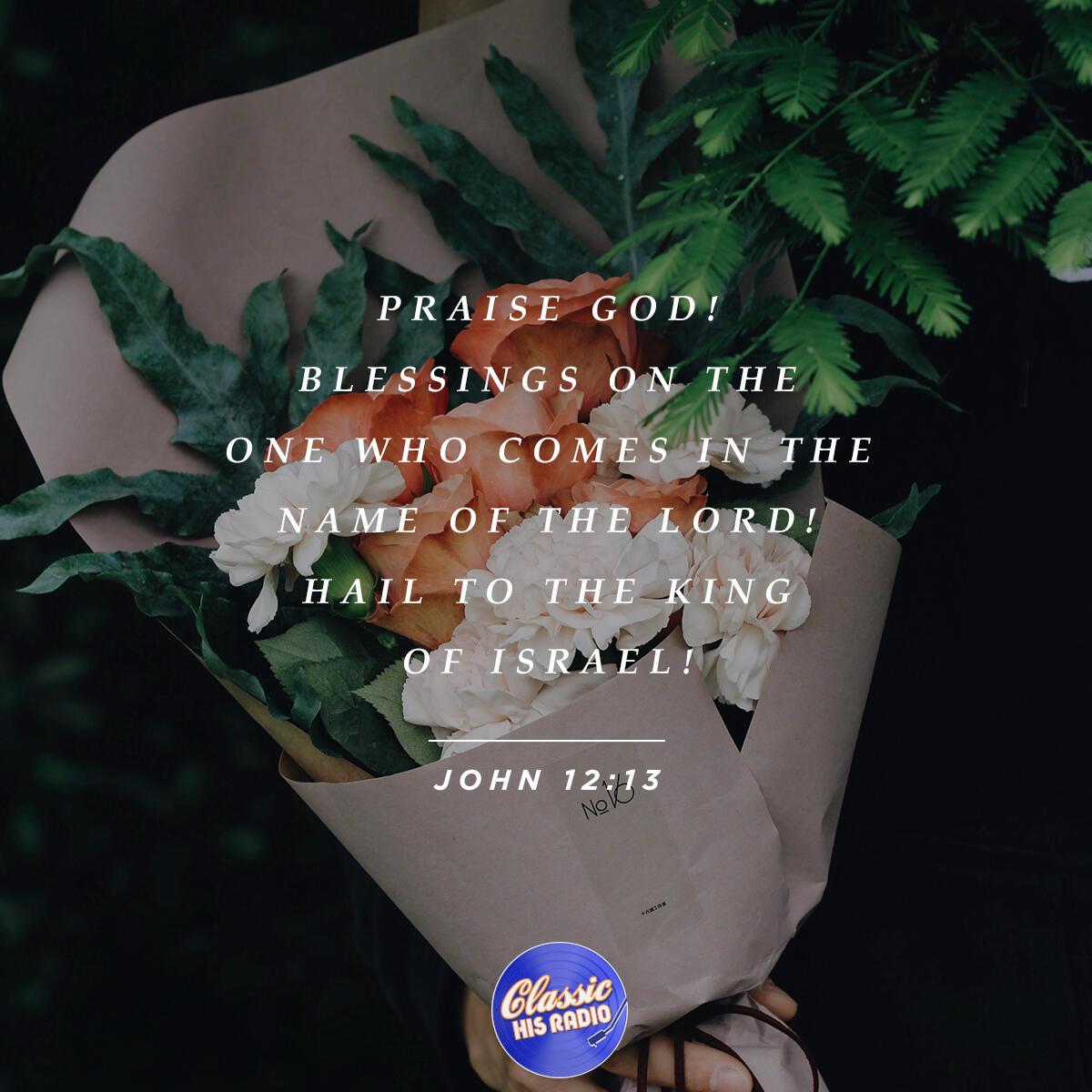 John 12:13 - Verse of the Day
