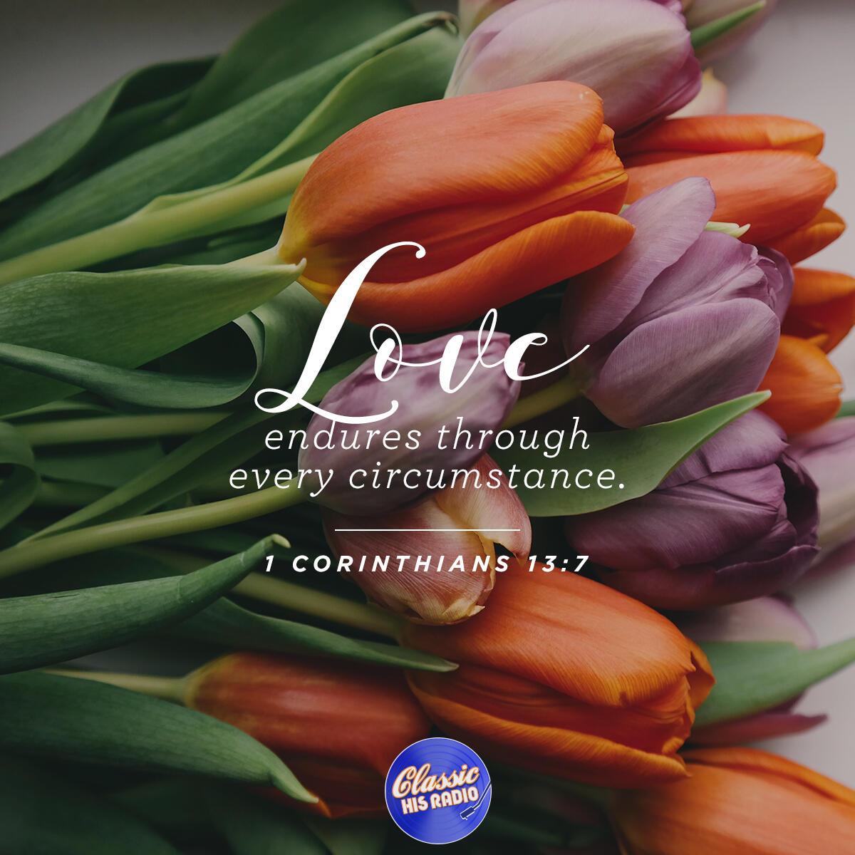 1 Corinthians 13:7 - Verse of the Day