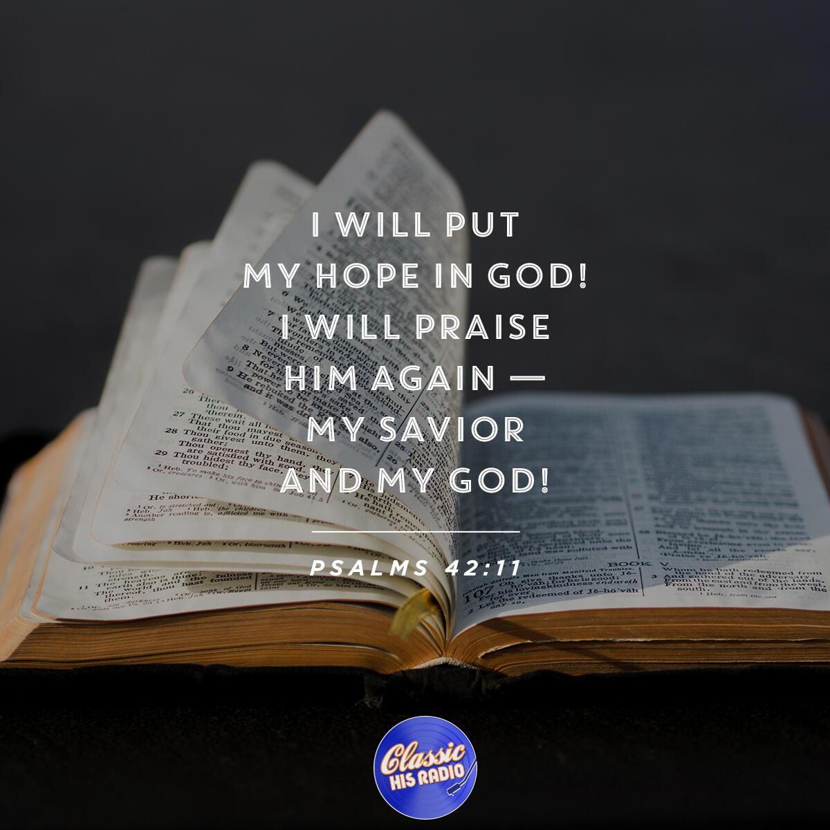 Psalms 42:11 - Verse of the Day