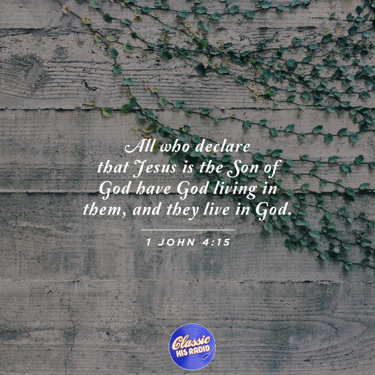 1 John 4:15 - Verse of the Day