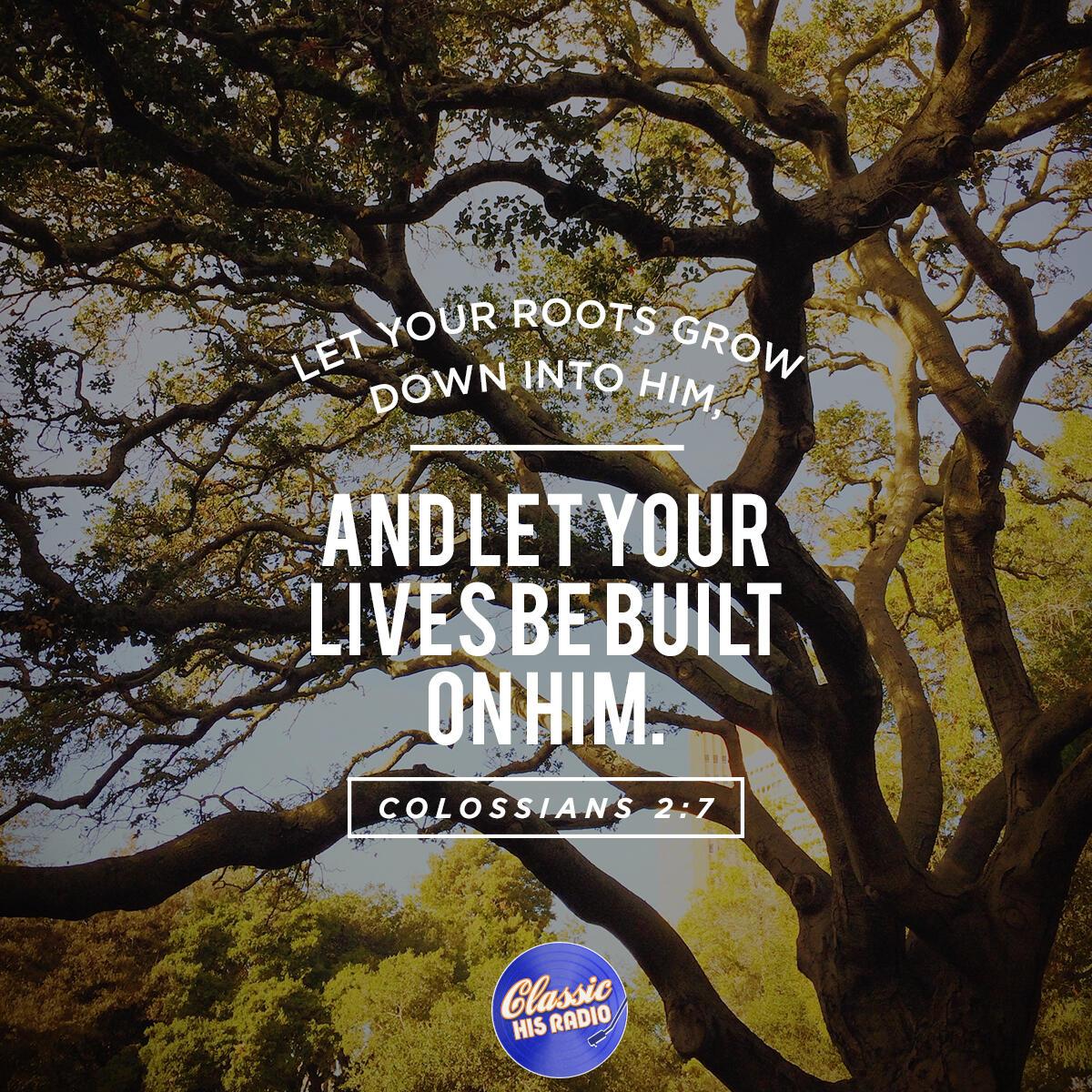 Colossians 2:7 - Verse of the Day