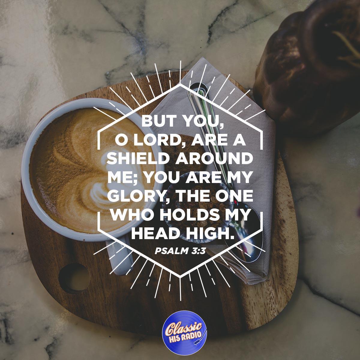 Psalm 3:3 - Verse of the Day