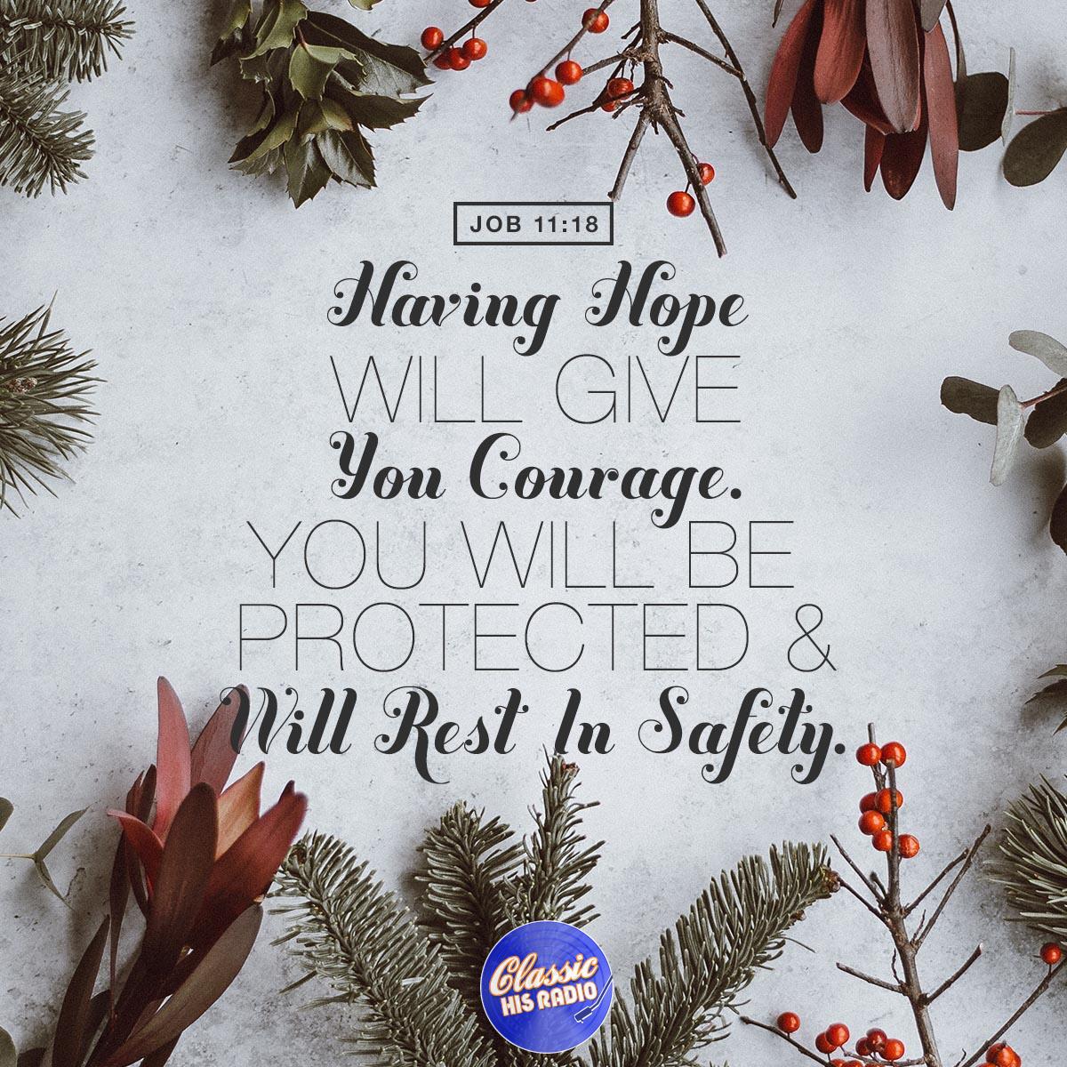 Job 11:18 - Verse of the Day