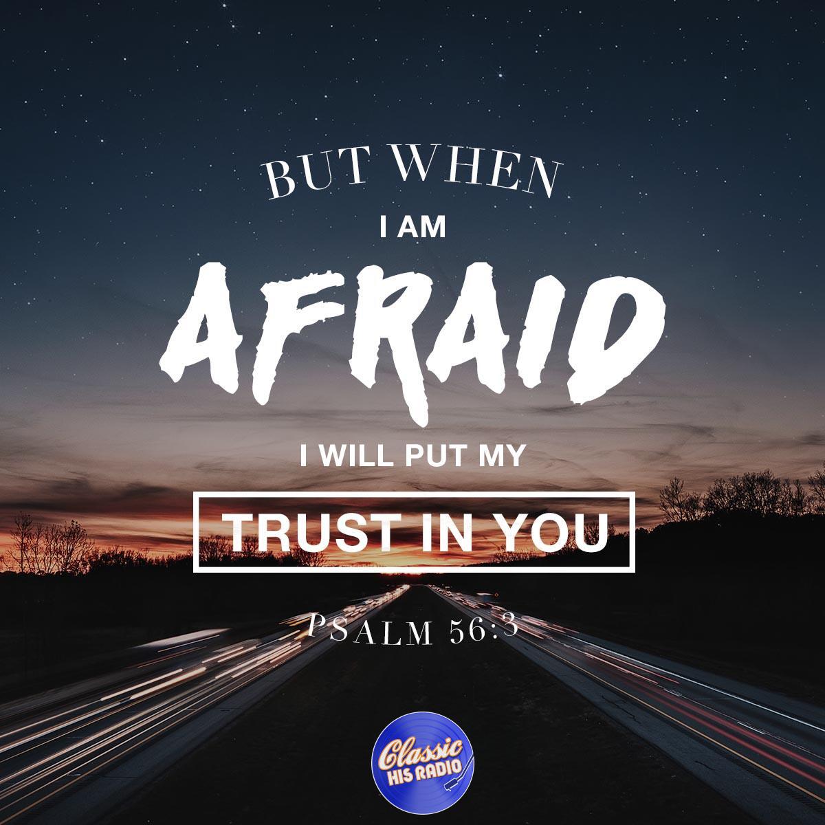 Psalm 56:3 - Verse of the Day