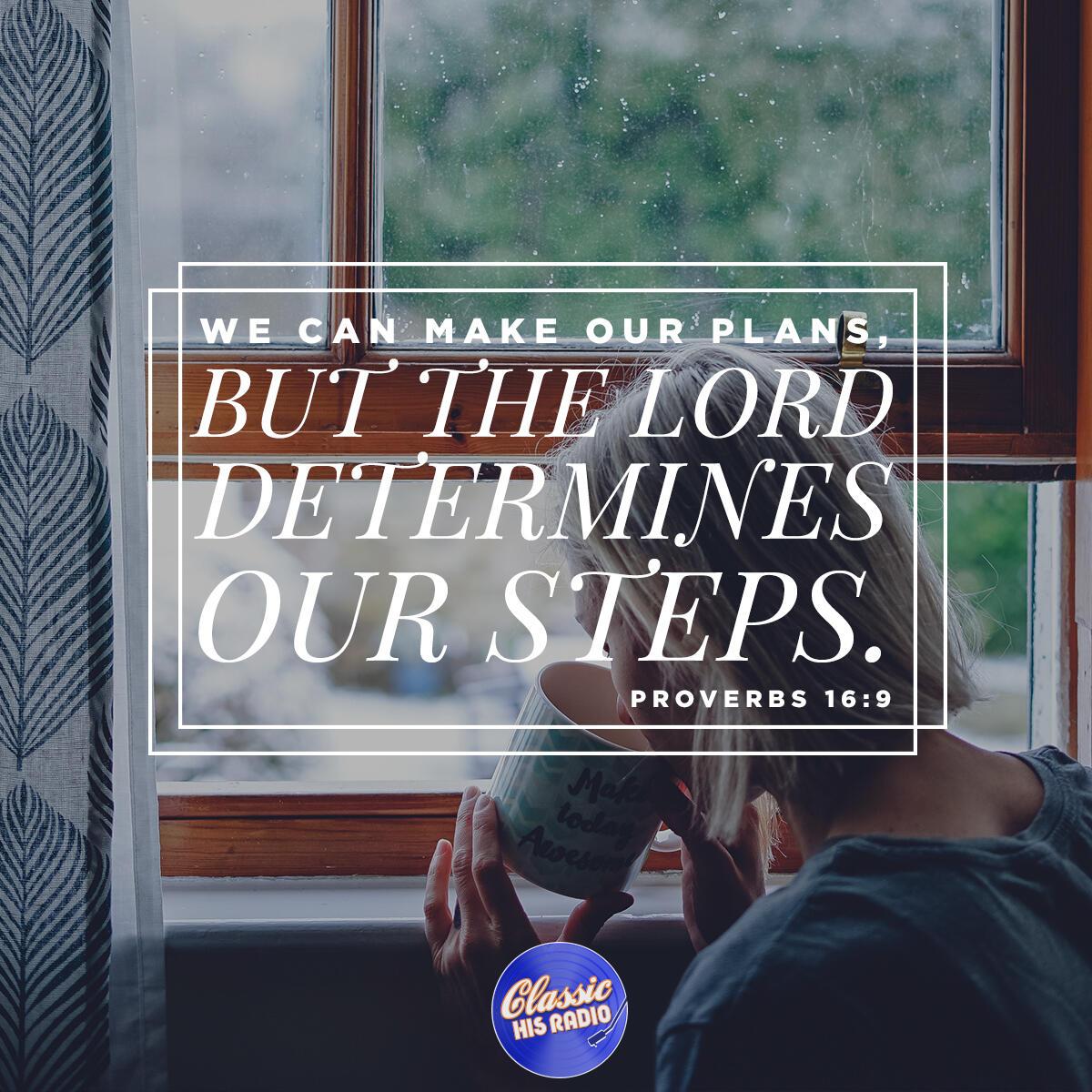 Proverbs 16:9 - Verse of the Day