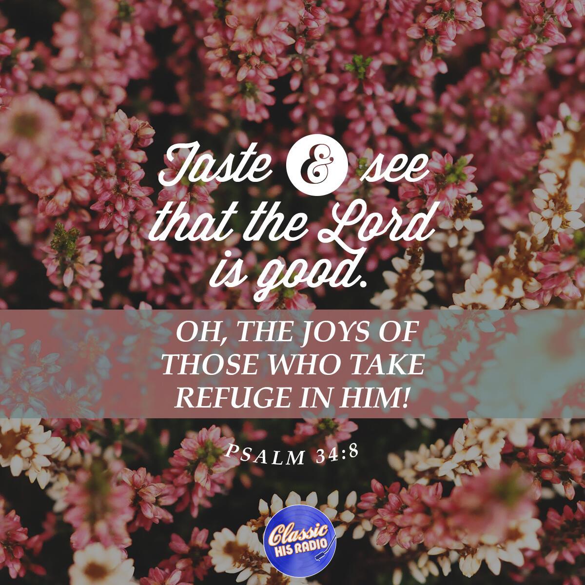 Psalm 34:8 - Verse of the Day