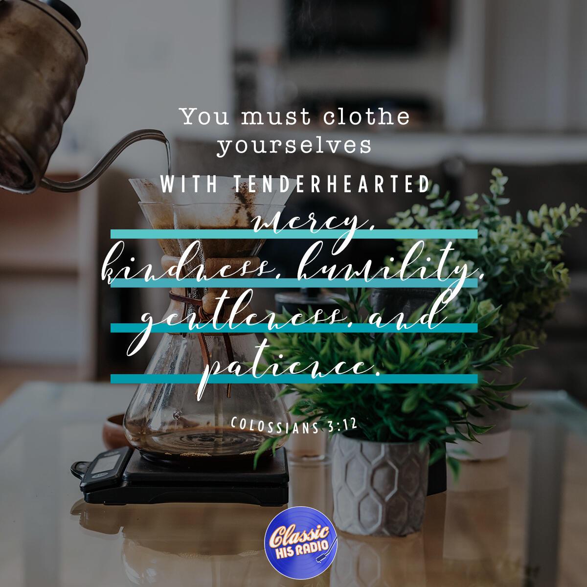 Colossians 3:12 - Verse of the Day