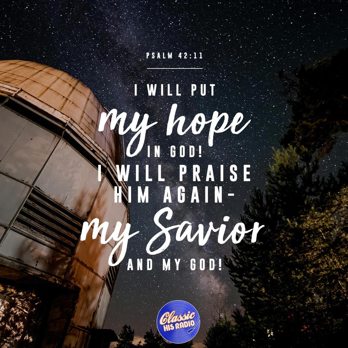 Psalm 42:11 - Verse of the Day