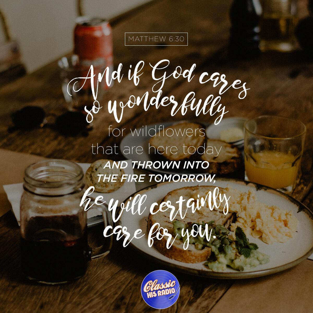 Matthew 6:30 - Verse of the Day