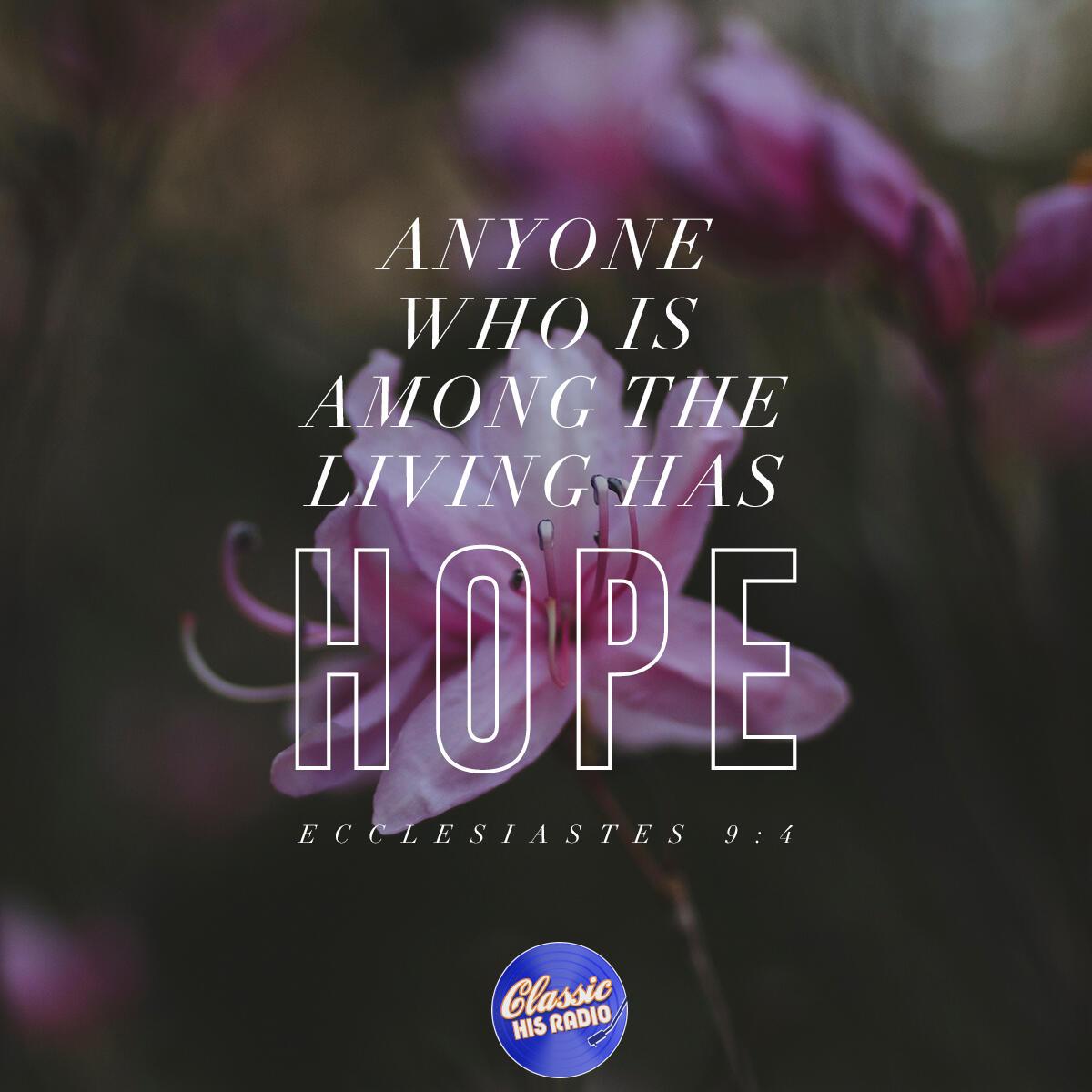 Ecclesiastes 9:4 - Verse of the Day