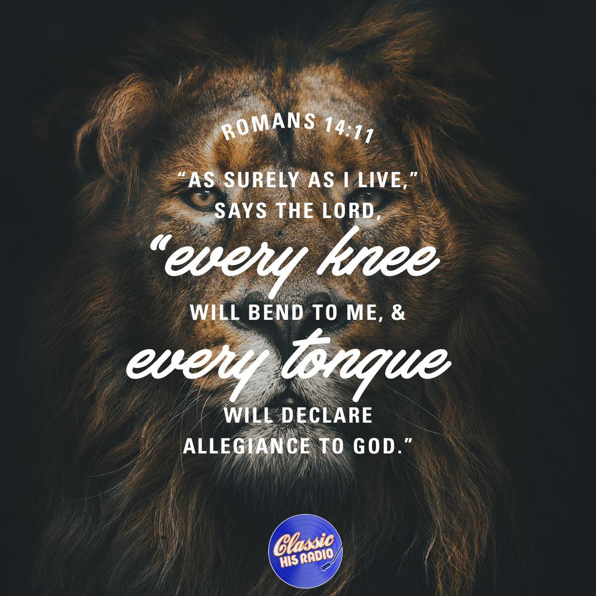 Romans 14:11 - Verse of the Day