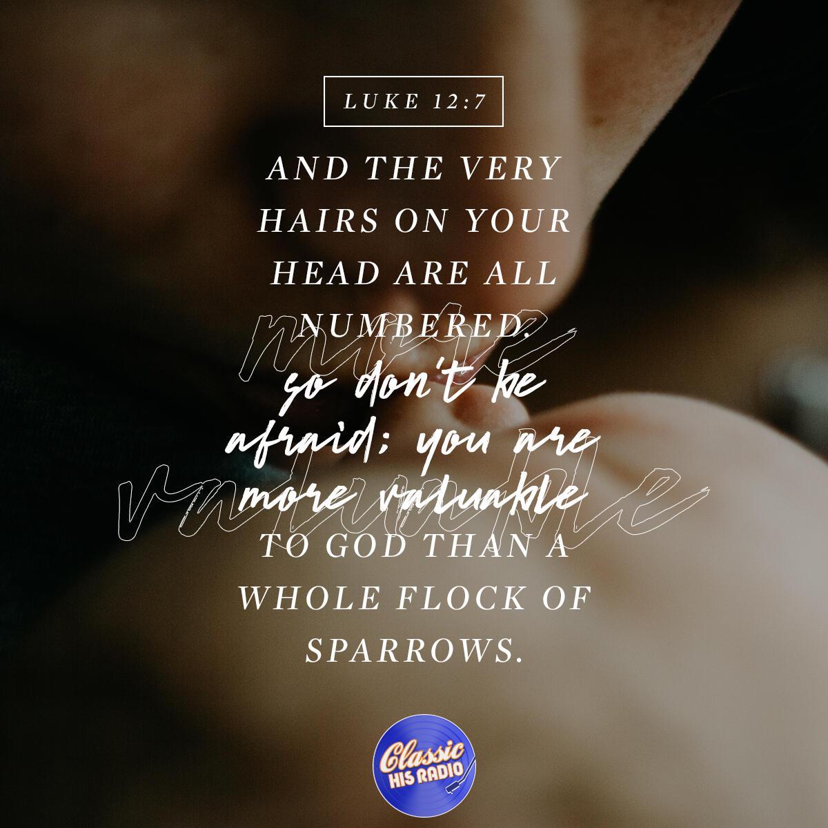 Luke 12:7 - Verse of the Day