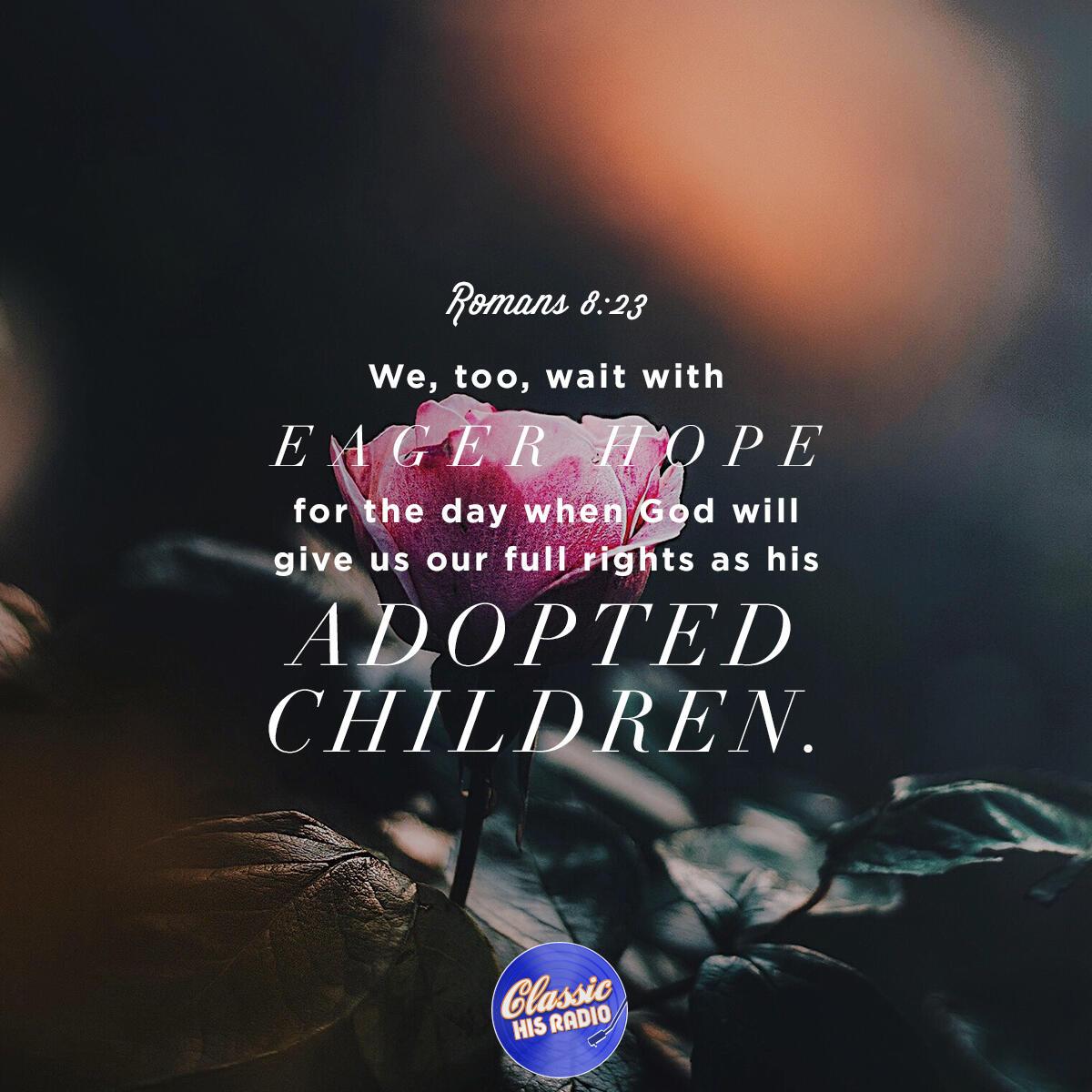 Romans 8:23 - Verse of the Day