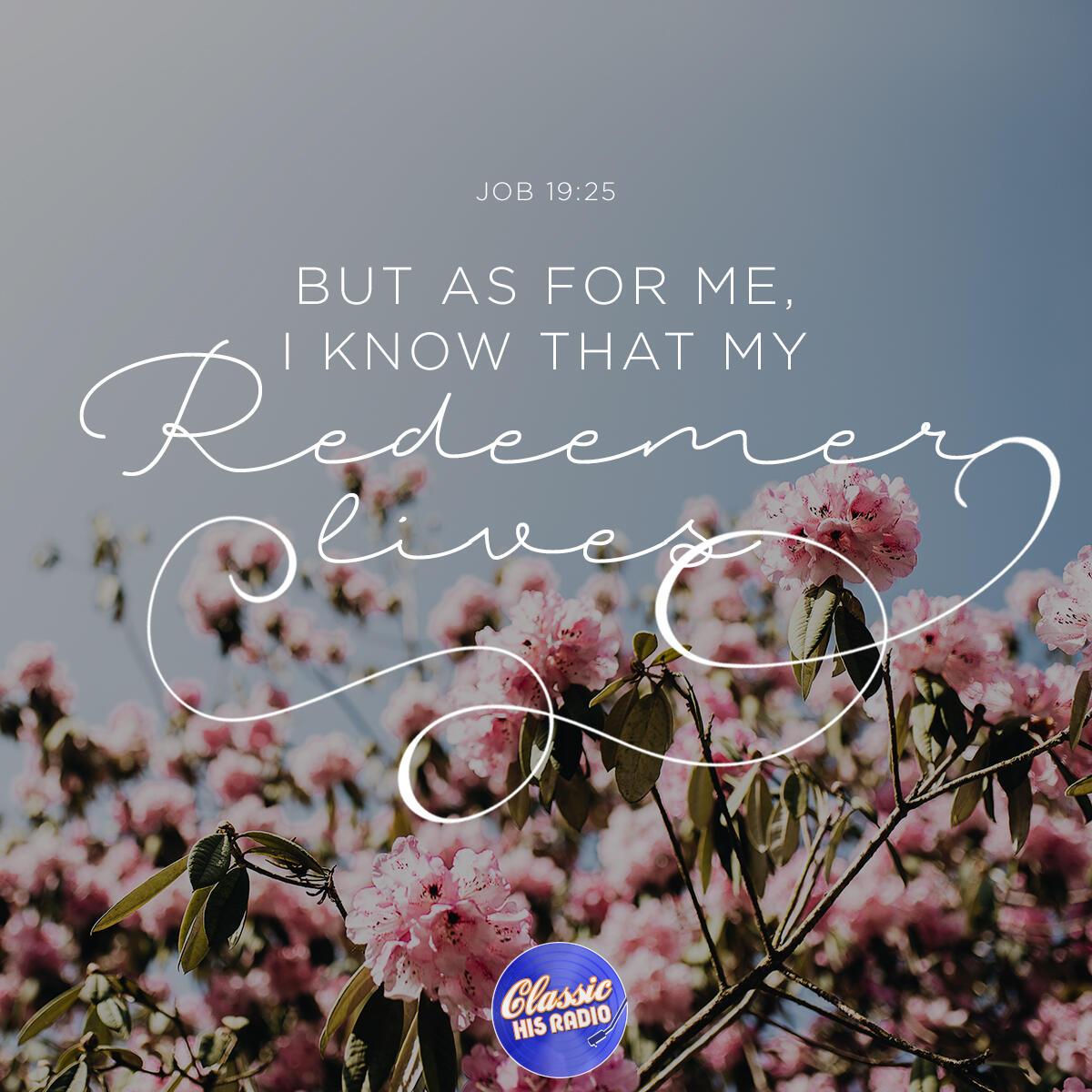 Job 19:25 - Verse of the Day