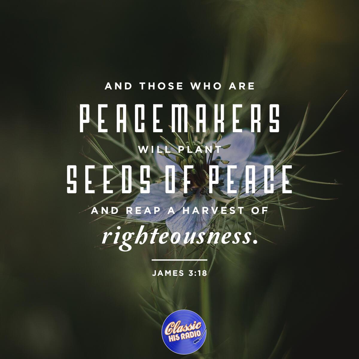 James 3:18 - Verse of the Day