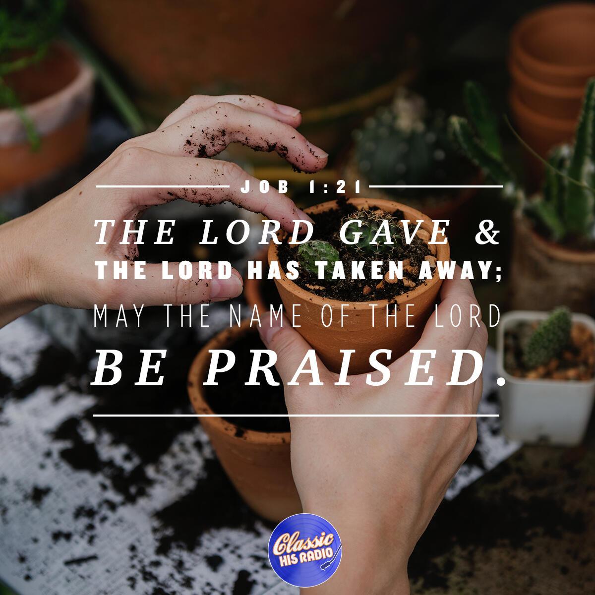 Job 1:21 - Verse of the Day