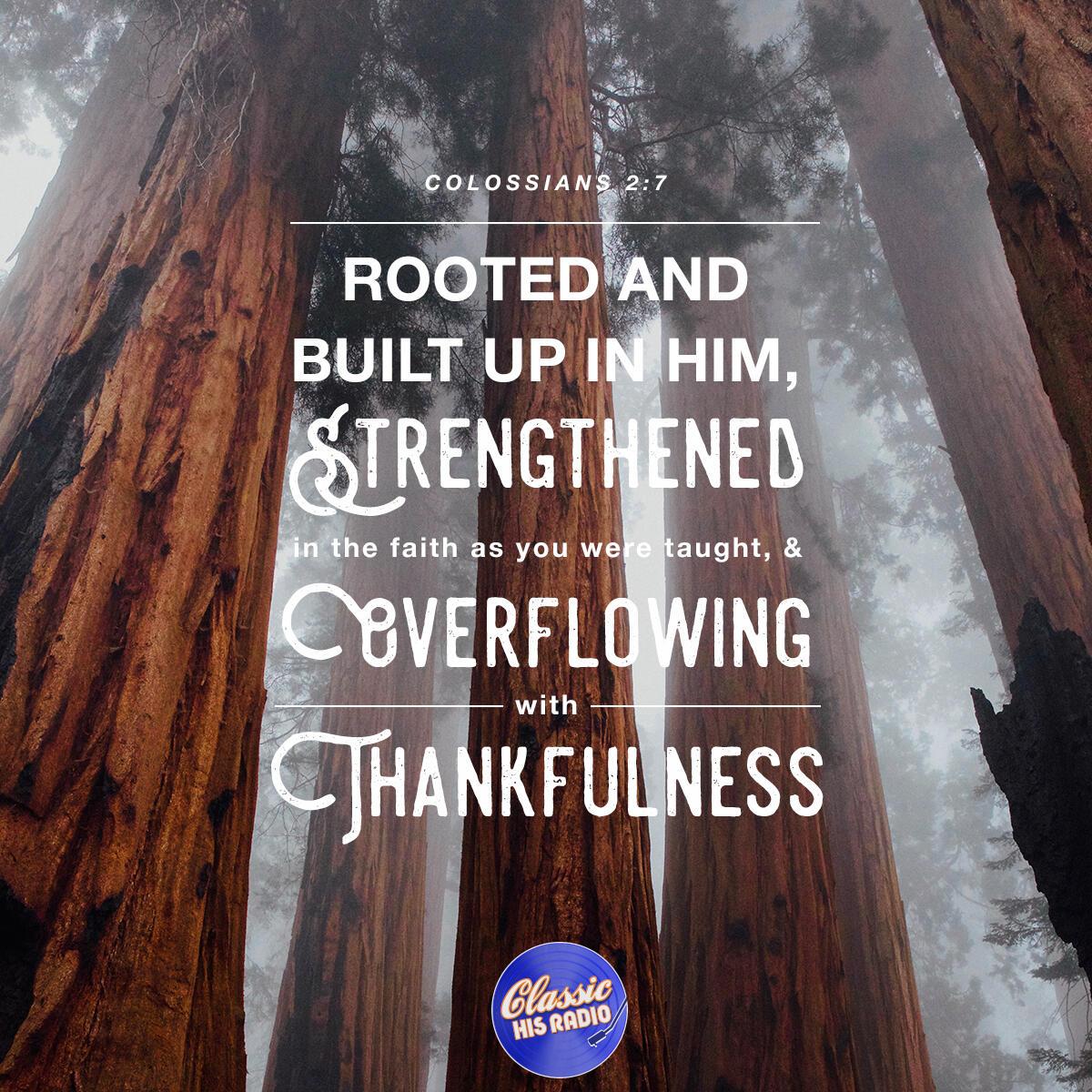 Colossians 2:7 - Verse of the Day