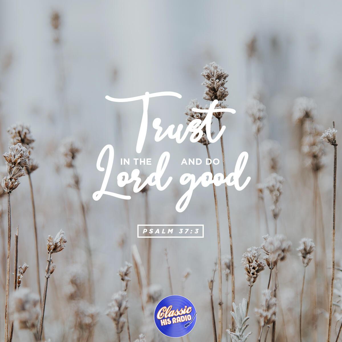 Psalm 37:3 - Verse of the Day