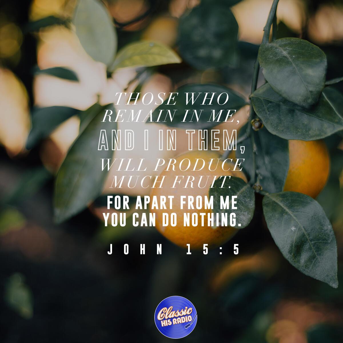 John 15:5 - Verse of the Day