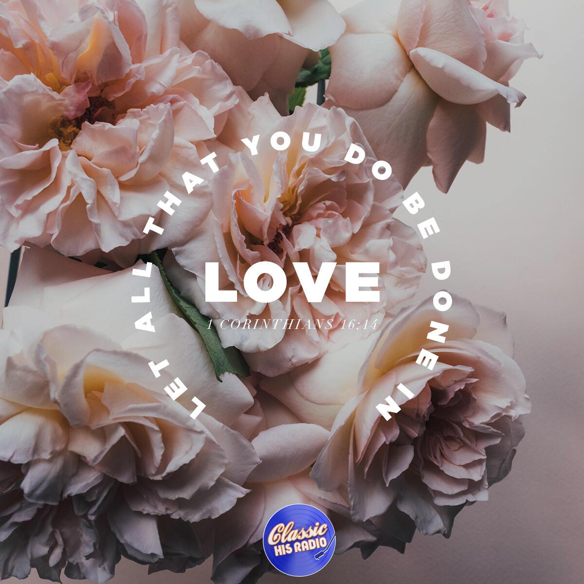 1 Corinthians 16:14 - Verse of the Day