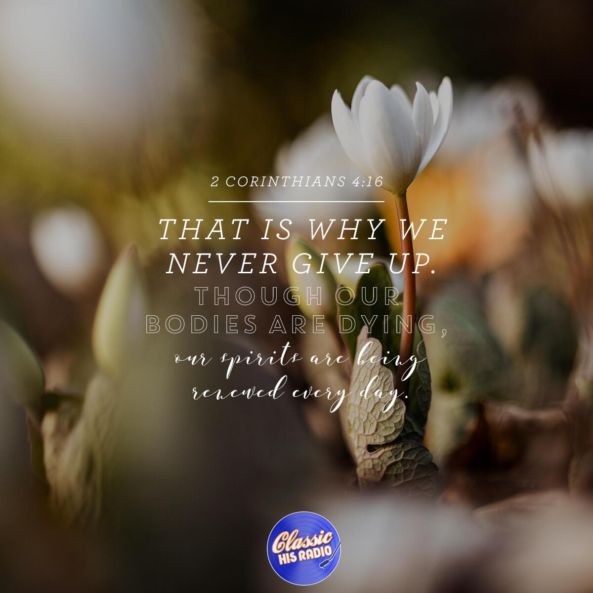 2 Corinthians 4:16 - Verse of the Day