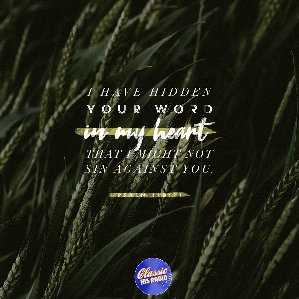 Psalm 119:11 - Verse of the Day