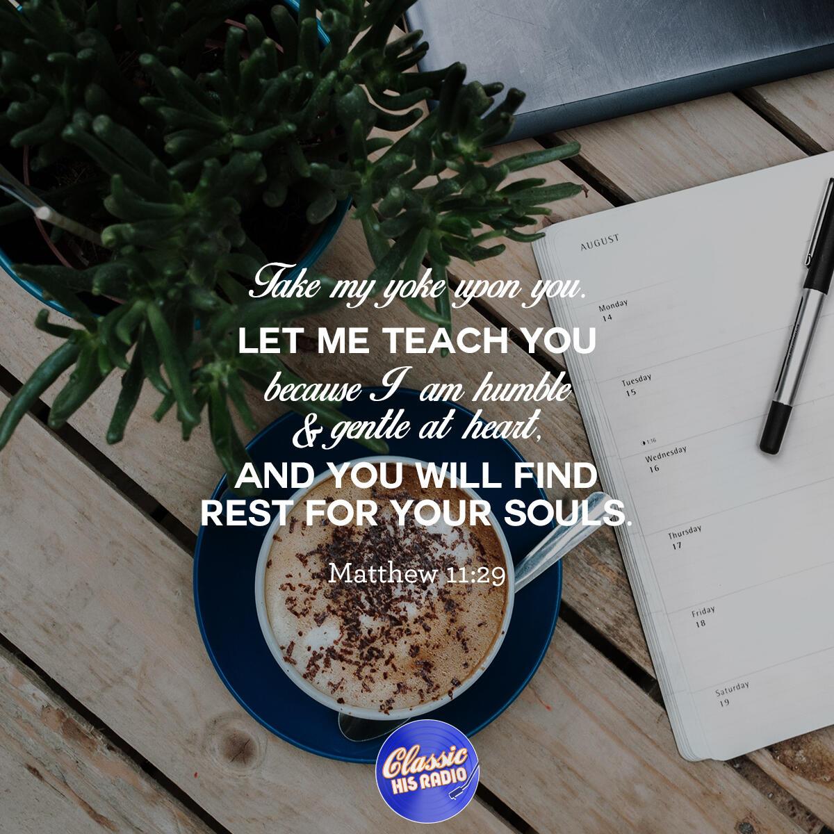 Matthew 11:29 - Verse of the Day