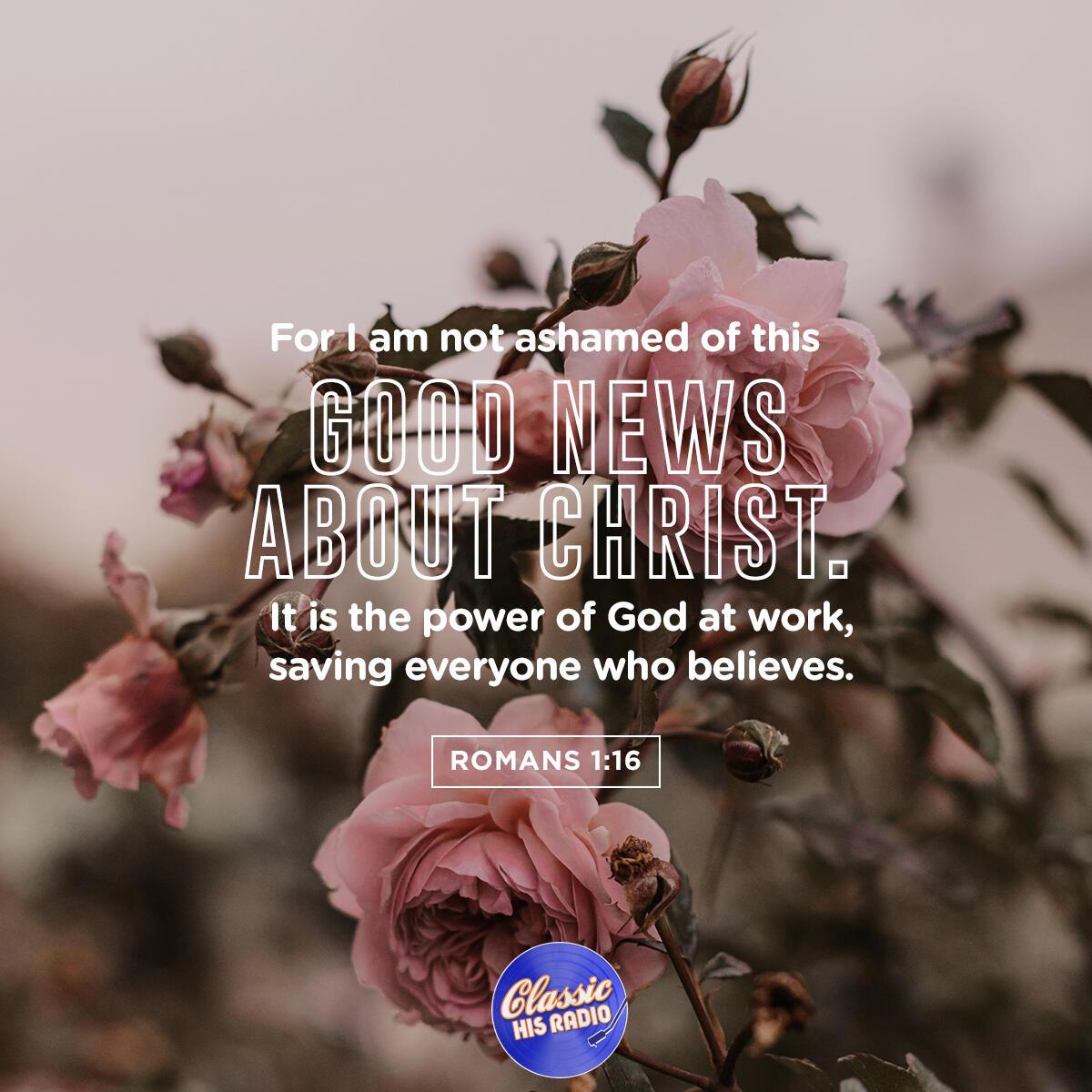 Romans 1:16 - Verse of the Day