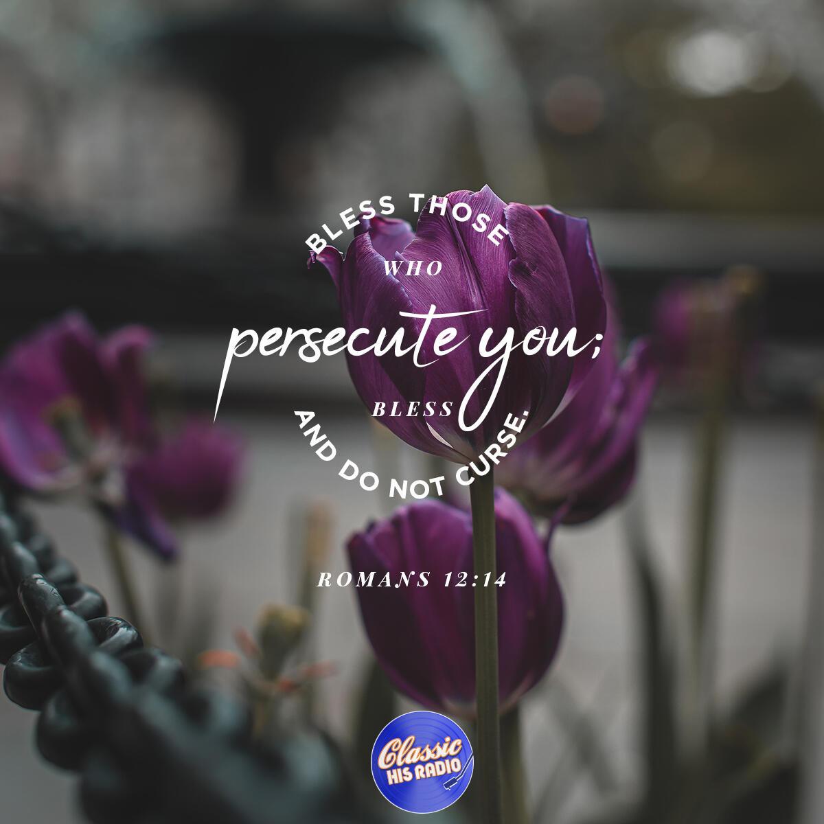 Romans 12:14 - Verse of the Day