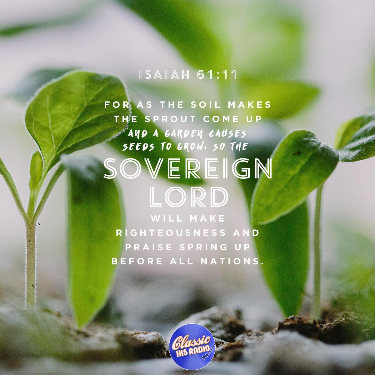 Isaiah 61:11 - Verse of the Day