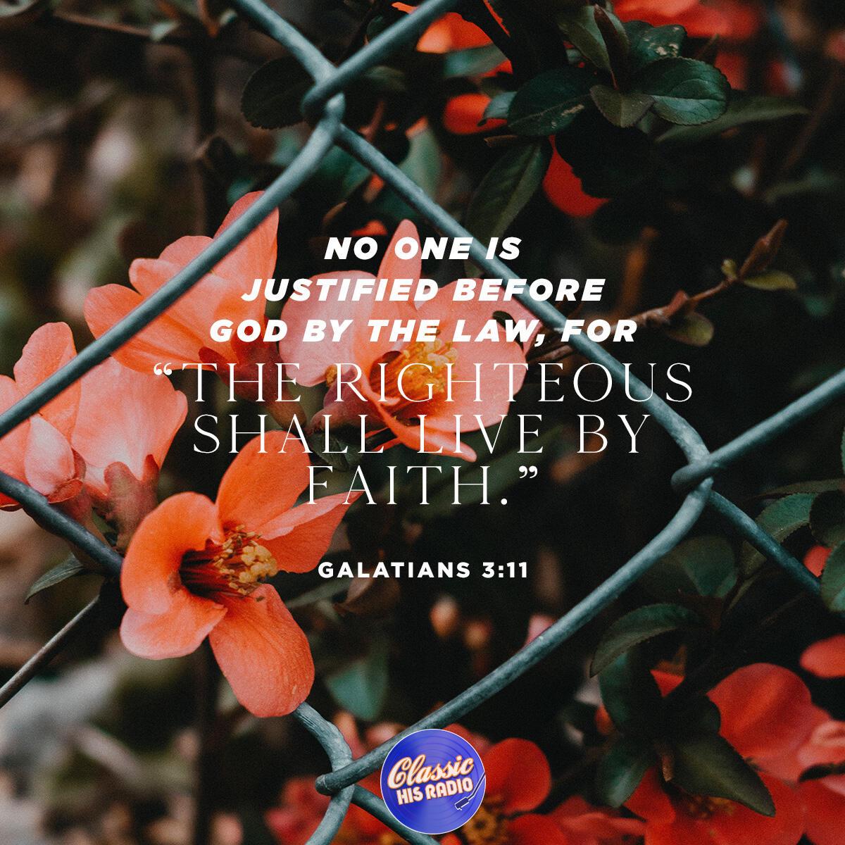 Galatians 3:11 - Verse of the Day