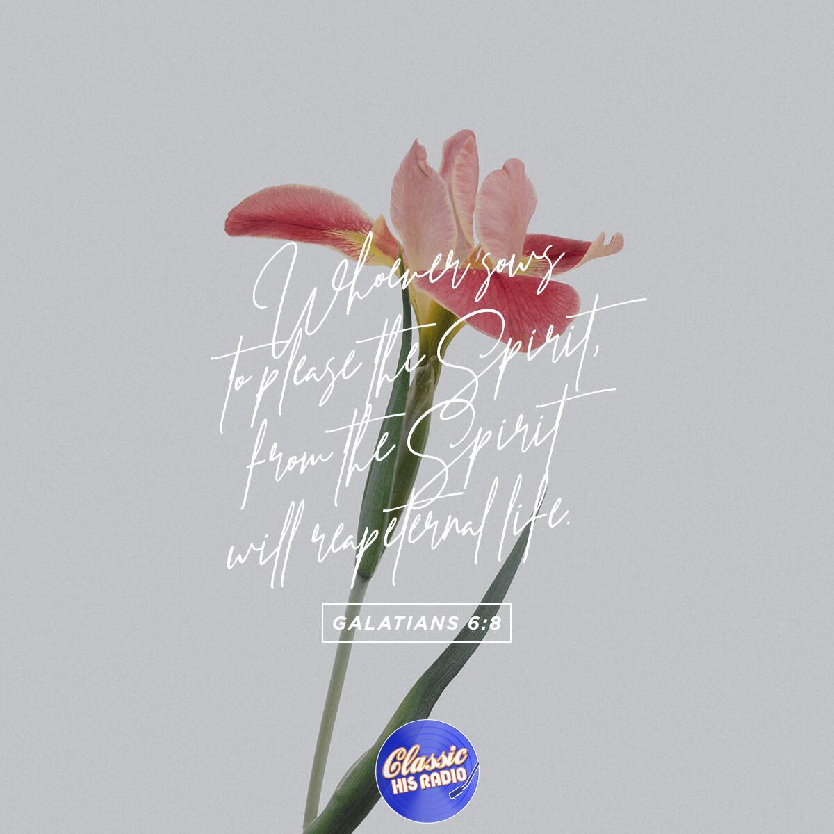 Galatians 6:8 - Verse of the Day