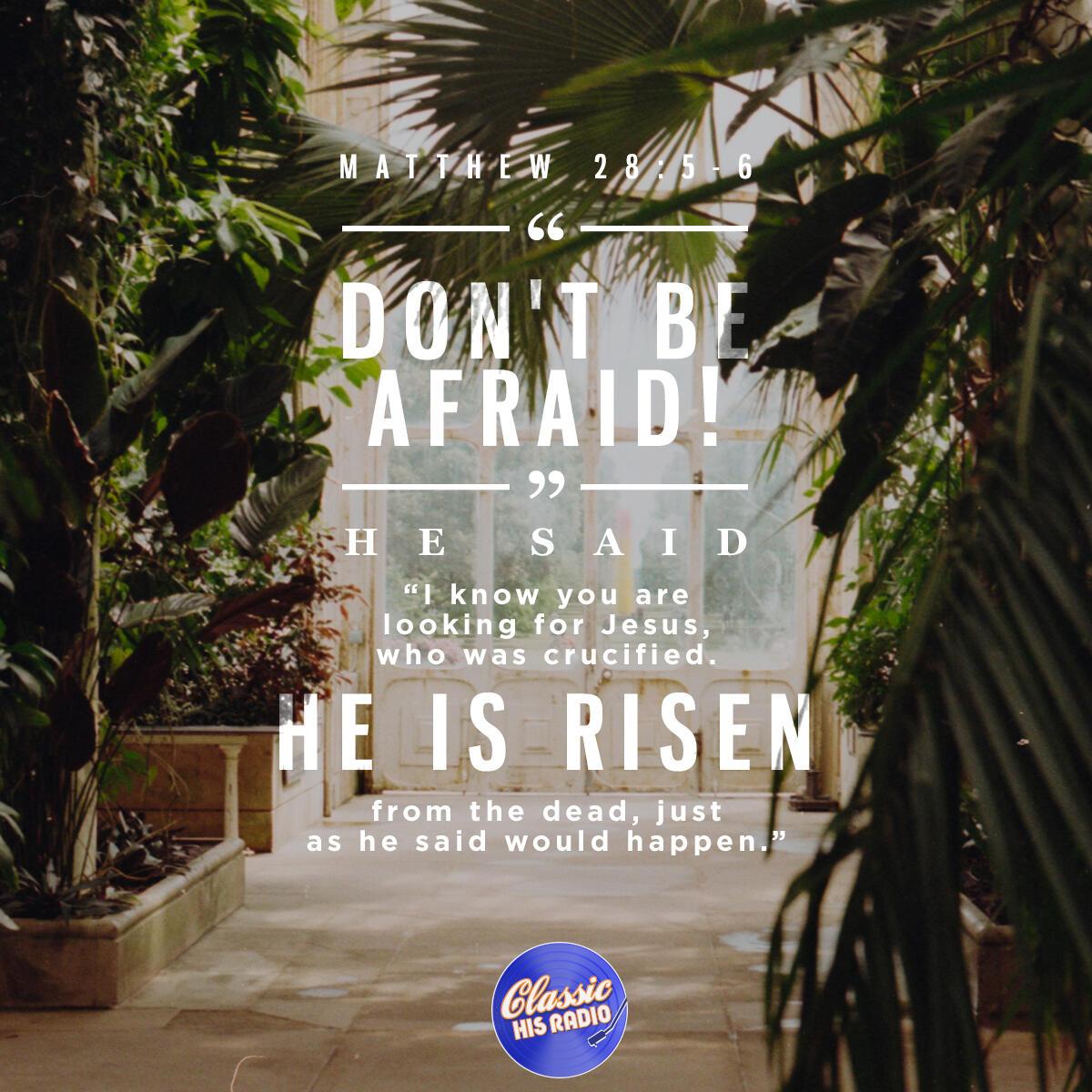 Matthew 28:5-6 - Verse of the Day