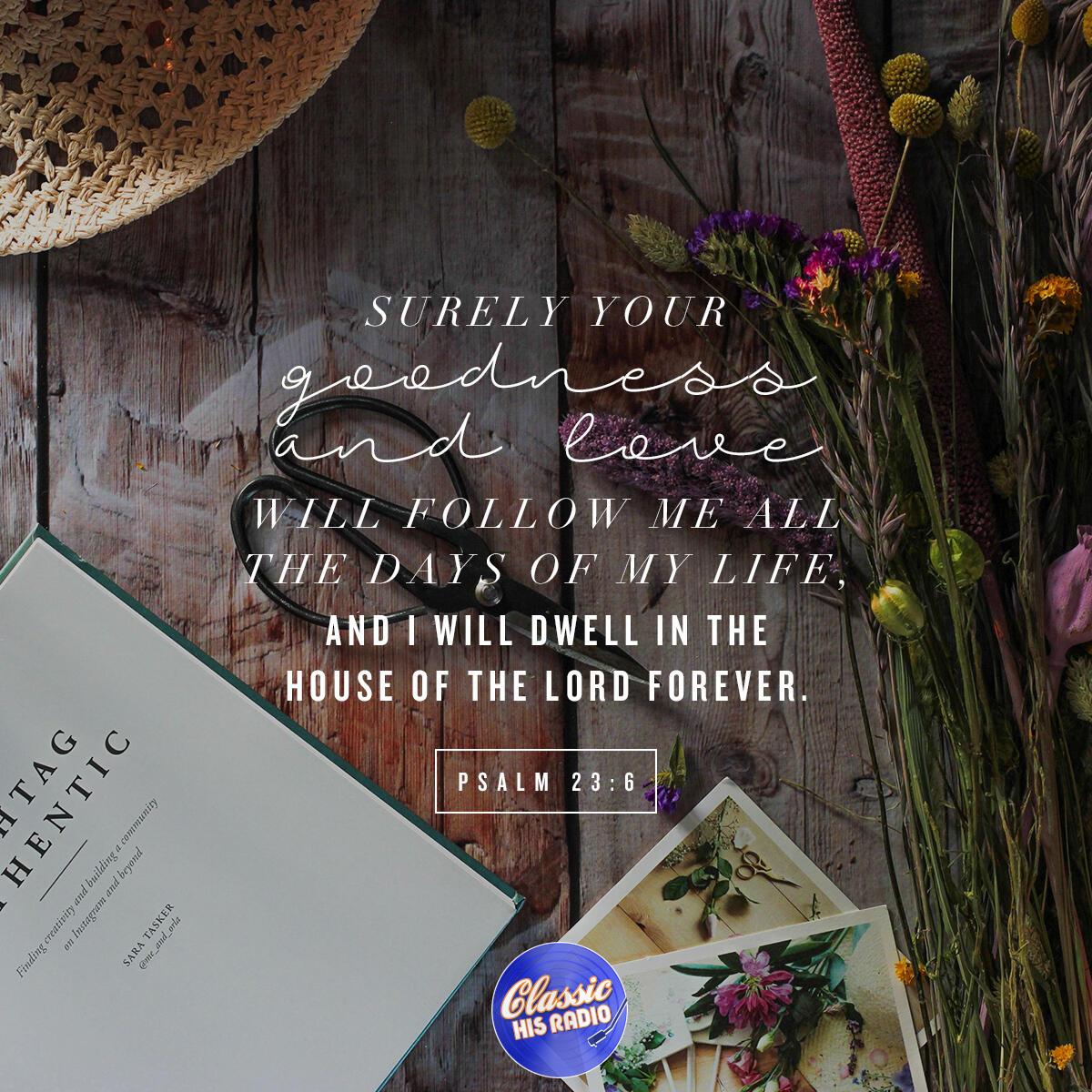 Psalm 23:6 - Verse of the Day
