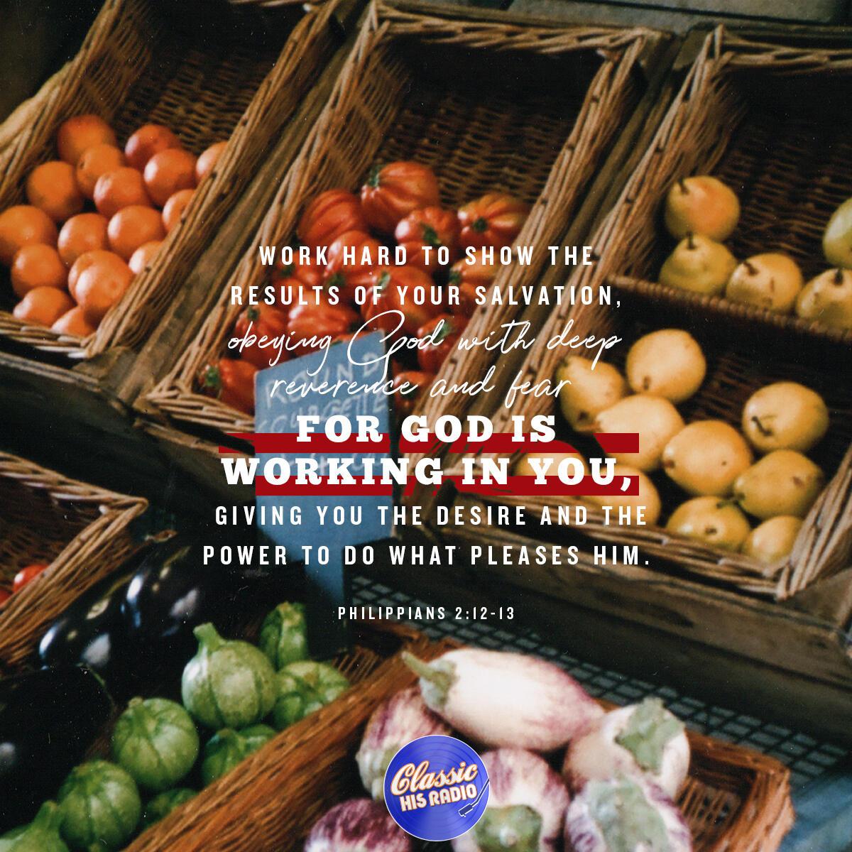 Philippians 2:12-13 - Verse of the Day