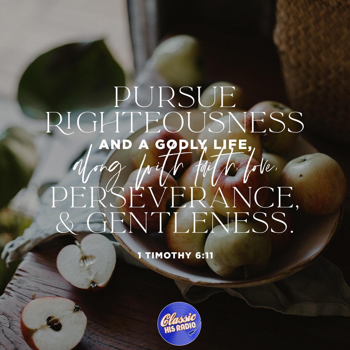 1 Timothy 6:11 - Verse of the Day